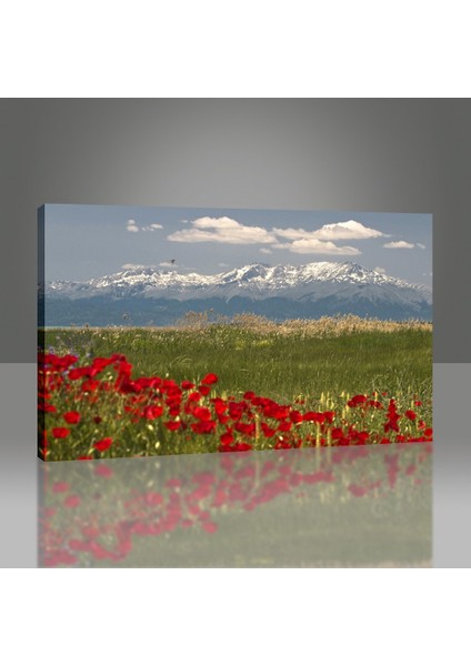 Konya Tablo modelleri