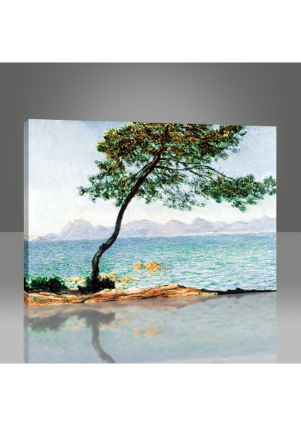 Antibes Tablo modelleri