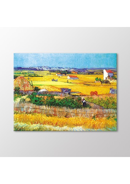 La Crau'da Hasat Arka Planda Montmajour, 1888 Tablo