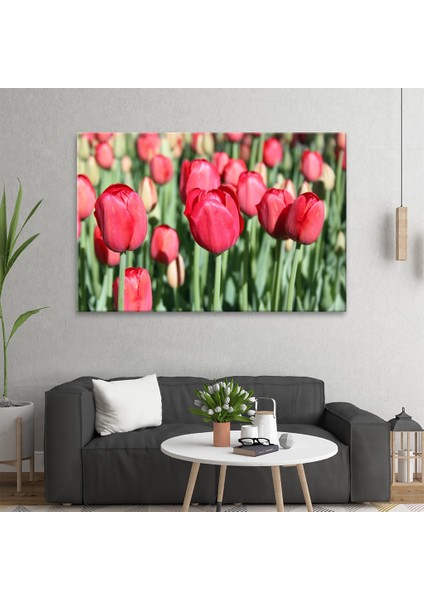 Laleler Tablo fiyatları