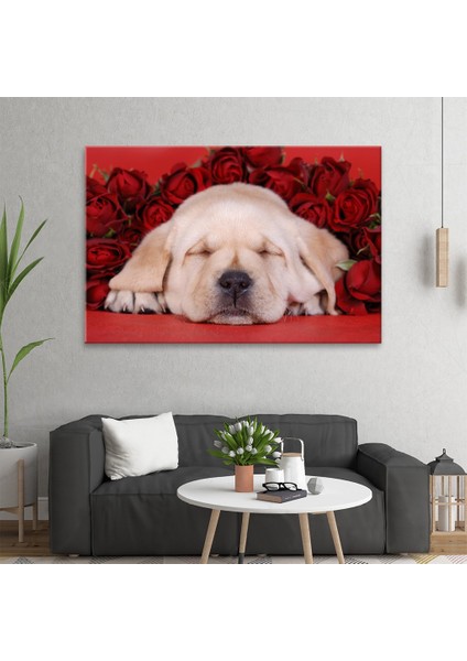 Yavru Köpek Tablo