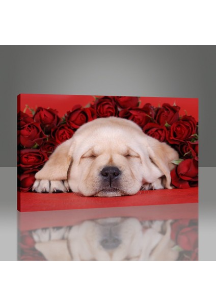 Yavru Köpek Tablo