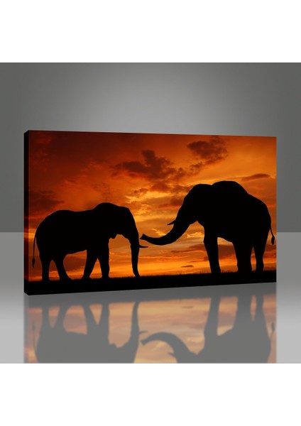 Filler Tablo modelleri