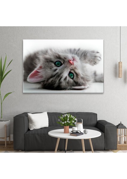 Yavru Kedi Tablo fiyatları