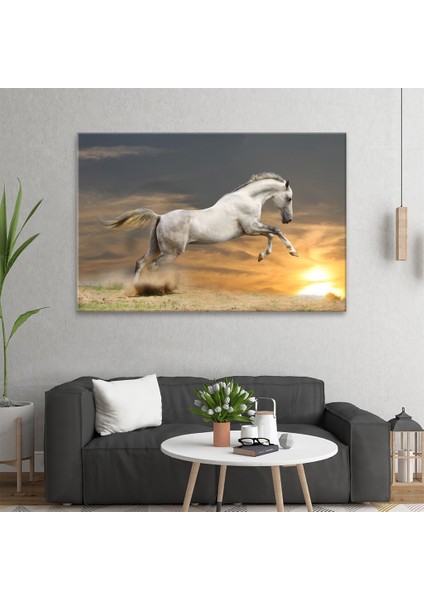 Beyaz At Tablo fiyatları