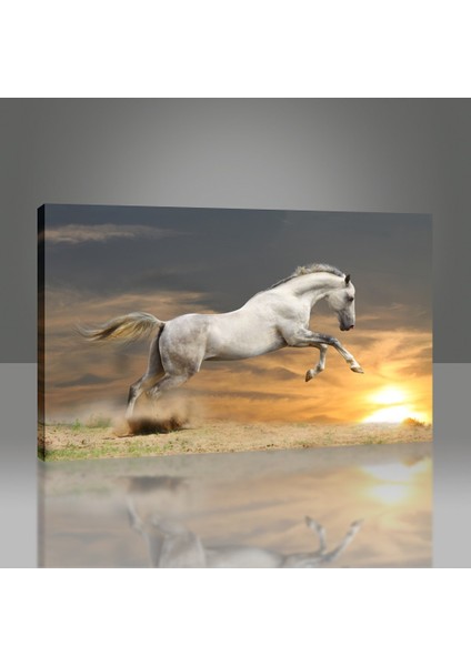 Beyaz At Tablo modelleri