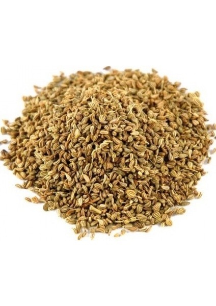 Maydanoz Tohumu 1 kg fiyatları
