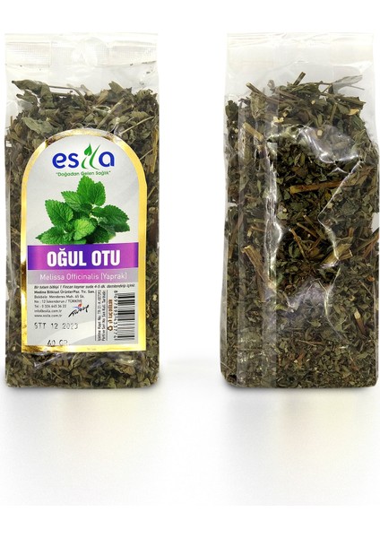 Oğul Otu 40 gr