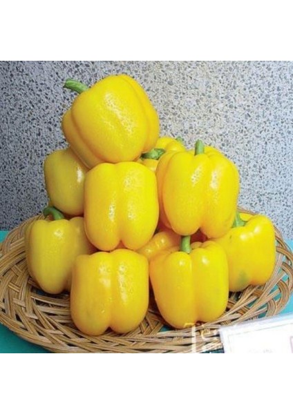 10 Adet Tohum Sarı Tatlı Dolmalık Biber Tohumu Sebze Tohumları