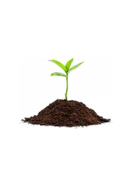 5 Litre Torf Toprak Perlit Karışımlı Torf Çiçek Toprağı Saksı Toprağı Yerli Torf Bitki Toprağı fiyatları