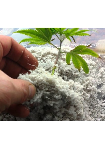 1 Litre Perliti Tarımsal Perlit Köklendirme Perliti Çimlendirme Perliti Topraksız Tarım Perliti fiyatları