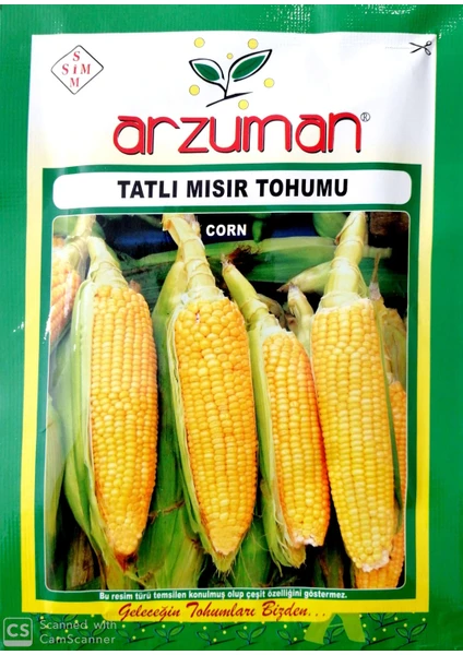 Küçük Çiftlik Tatlı Mısır Tohumu 25 gr Hibrit Şeker Mısır