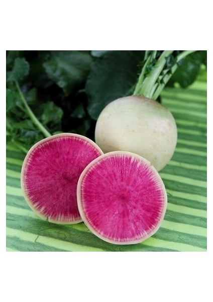 50 Adet Tohum Içi Kırmızı Çin Turpu Tohumu Yeni Sezon