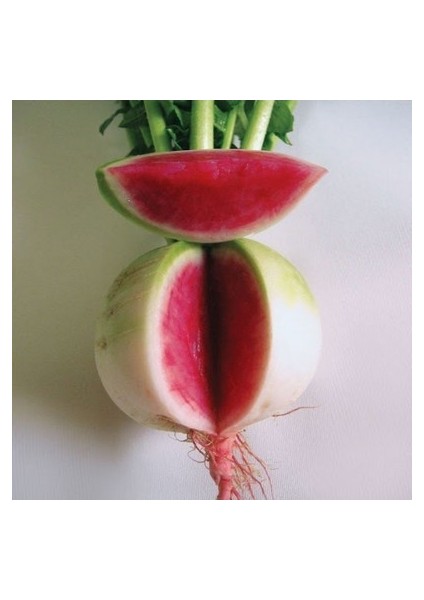 50 Adet Tohum Içi Kırmızı Çin Turpu Tohumu Yeni Sezon fiyatları