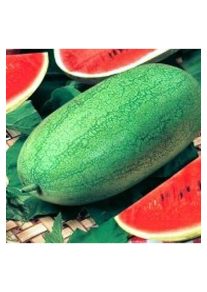 10 Adet Tohum Nadir Ithal Çarliston Gray Karpuz Tohumu Tohum Karpuz Charleston Gray