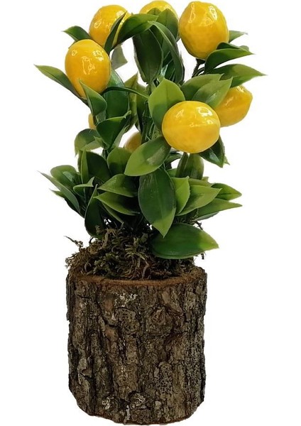 Yapay Ahşap Kütük Saksılı Limon Dekoratif Hediye LM100