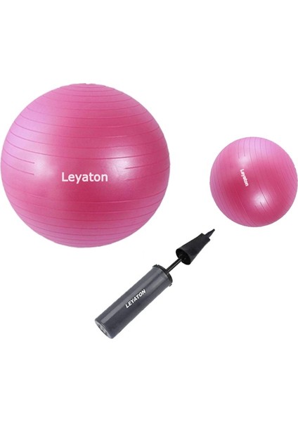 65 cm Pembe + 25 cm Pilates Topu 2'li Set