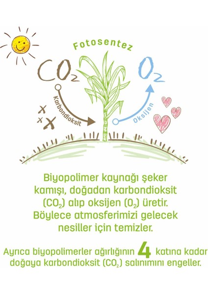 Bio Natural Islak Havlu 24 x 40 (960 Yaprak)