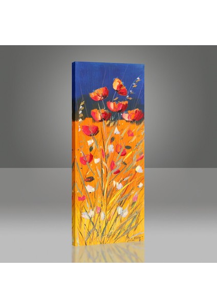 Gelincikler Tablo modelleri