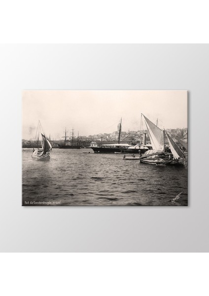 Tophane, 1895 Tablo