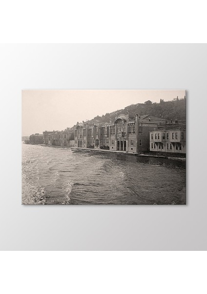 Kuruçeşme Nazime Sultan Yalısı, 1910 Tablo