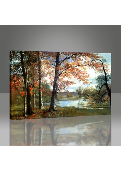 Sakin Göl Tablo modelleri