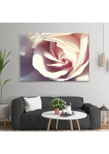 Beyaz Gül Tablo fiyatları