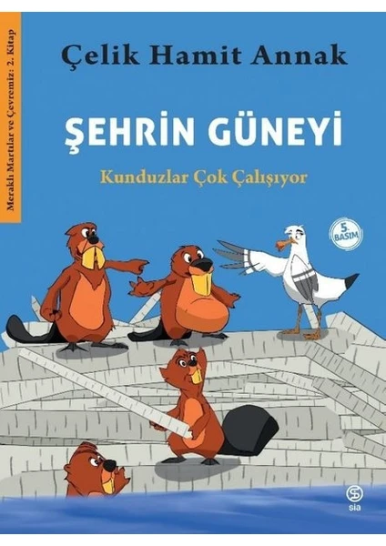 Şehrin Güneyi  - Çelik Hamit Annak