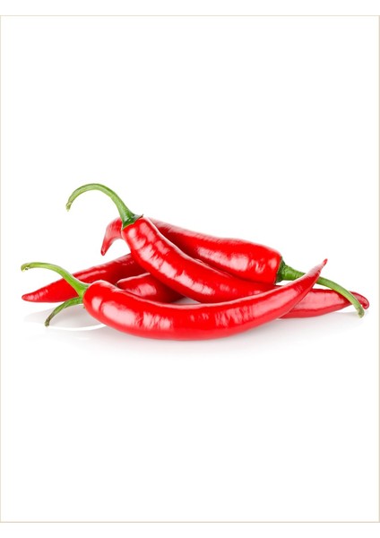 100 Adet Tohum Eko Paket Şili Biberi Tohumu Çok Acı Chili Biberi Tohumu