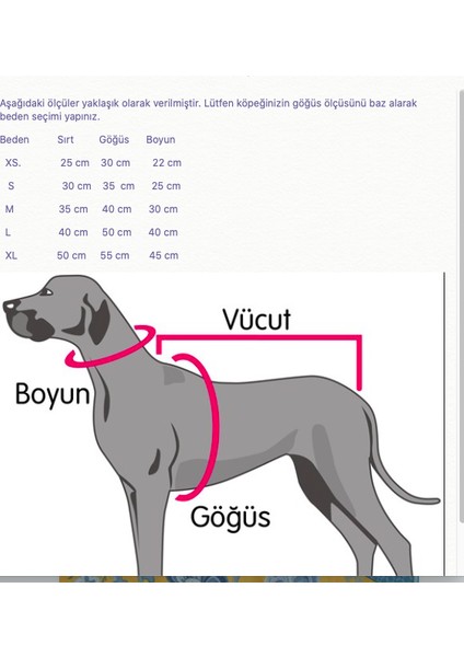 Sirius Köpek Kazağı