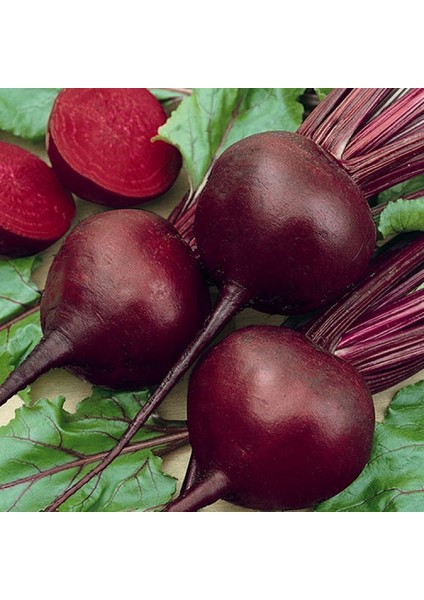 Murat Tohum Eko Paket Kırmızı Pancar Tohumu 200 Adet Tohum fiyatları