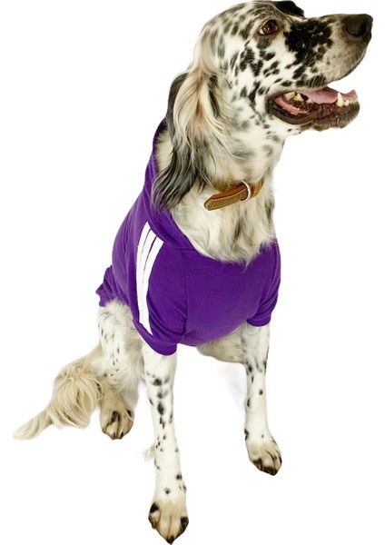 Adidog Purple Hoodie Kapşonlu Sweatshirt Orta ve Büyük Irklar Için fırsatları