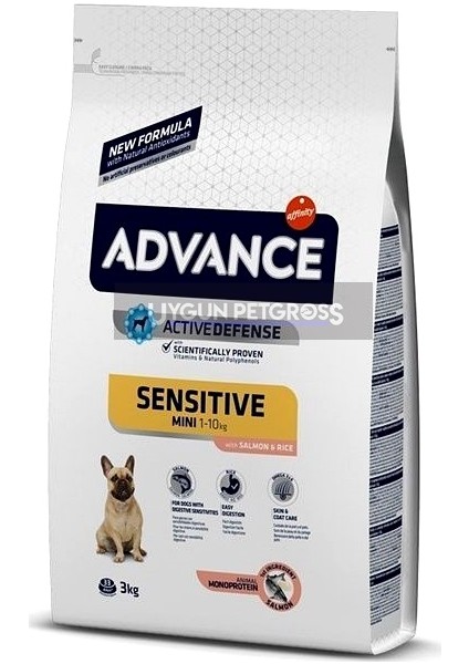 Küçük Irk Somonlu Yetişkin Köpek Maması 3 kg