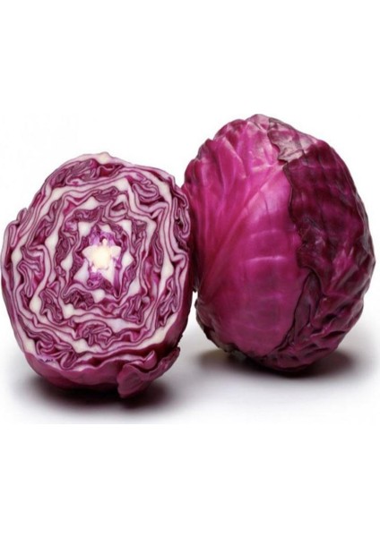 Salatalık Turşuluk Geleneksel Doğal Kırmızı Lahana Fidesi (5 Adet)