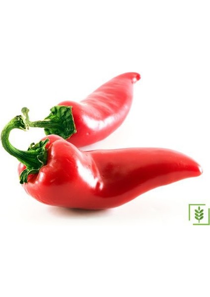 30 Adet Çok Acı Urfa Isot Biberi Tohumu Biber Tohumu