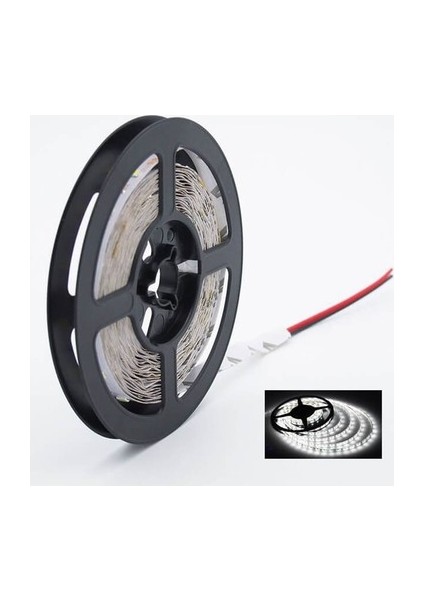 Intec 3 Çipli Beyaz Şerit LED 20 METRE+12V Trafo Kuruluma Hazır Set