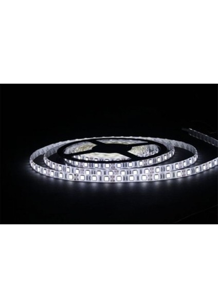 Intec 3 Çipli Beyaz Şerit LED 20 METRE+12V Trafo Kuruluma Hazır Set