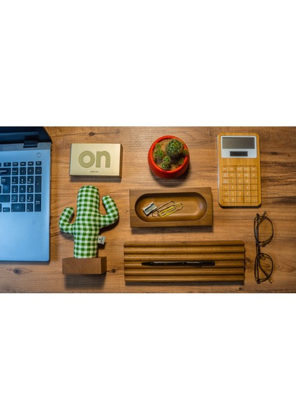 Woody Üçlü Ofis Seti Açık Kahverengi Yeşil Kaktüs fiyatları