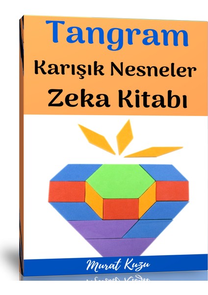 Tangram Karışık Nesneler Zeka Kitabı