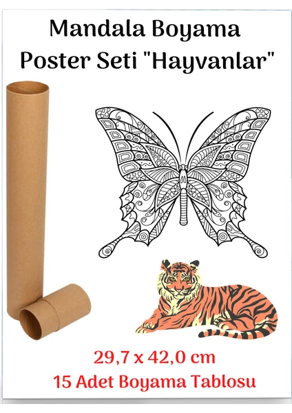 Enine Boyuna Eğitim Mandala Poster Tablosu 15 Adet (30 cm x 42 Cm)