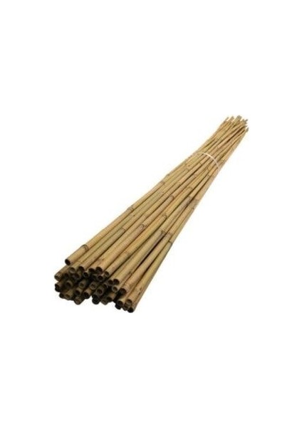 Doğal Bambu Çubuk/ Bitki Destek Çubuğu 75 cm 10 Adet