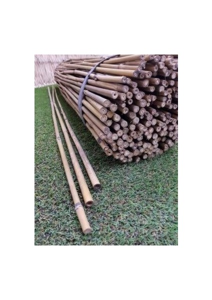 Doğal Bambu Çubuk/ Bitki Destek Çubuğu 75 cm 10 Adet