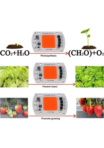 Tam Spektrum 380-840NM Uv LED Cob Topraksız Tarım Bitki Büyütme 50W 220V