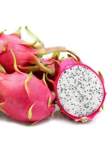Murat Tohum Eko Paket Beyaz Pitaya Ağacı Tohumu Ithal Beyaz Ejder Meyvesi Tohumu 65 Adet Tohum
