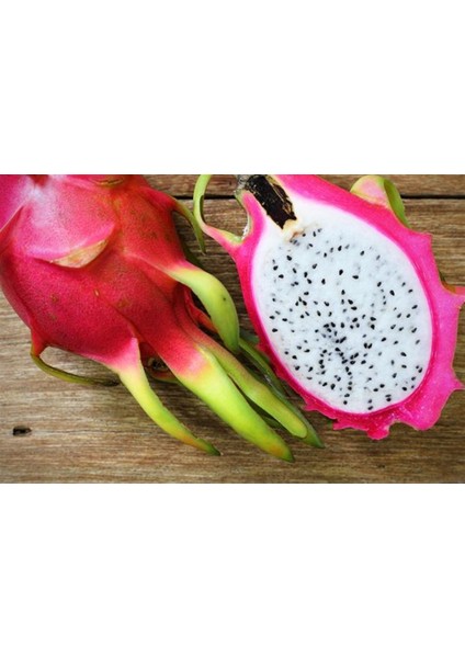 Murat Tohum Eko Paket Beyaz Pitaya Ağacı Tohumu Ithal Beyaz Ejder Meyvesi Tohumu 65 Adet Tohum fiyatları