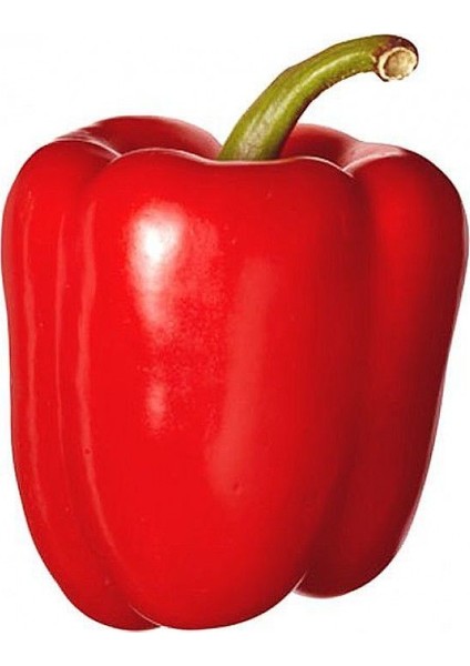 Nadir Ithal Dev Kırmızı Dolmalık Biber Tohumu Ekim Seti 5 Tohum Saksı Toprak Kombin