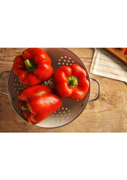 Nadir Ithal Dev Kırmızı Dolmalık Biber Tohumu Ekim Seti 5 Tohum Saksı Toprak Kombin modelleri