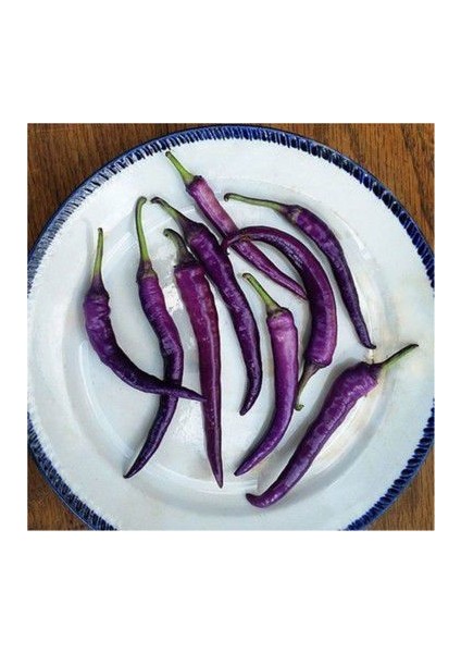 Nadir Ithal Acı Mor Sivri Biber Tohumu Ekim Seti 5 Tohum Saksı Toprak Kombin fiyatları