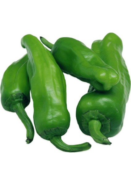 Meşhur Köy Biberi Tohumu Biber Tohum