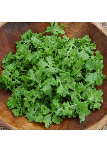 Nadir Ithal Crinkled Kıvırcık Tere Tohumu